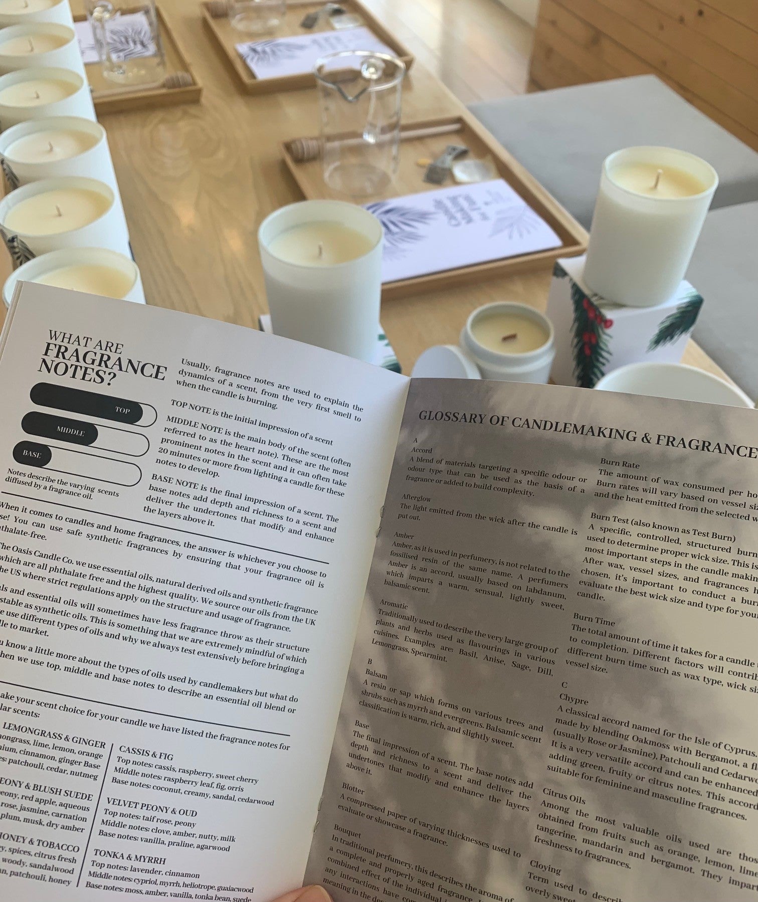 The Oasis Candle Co.