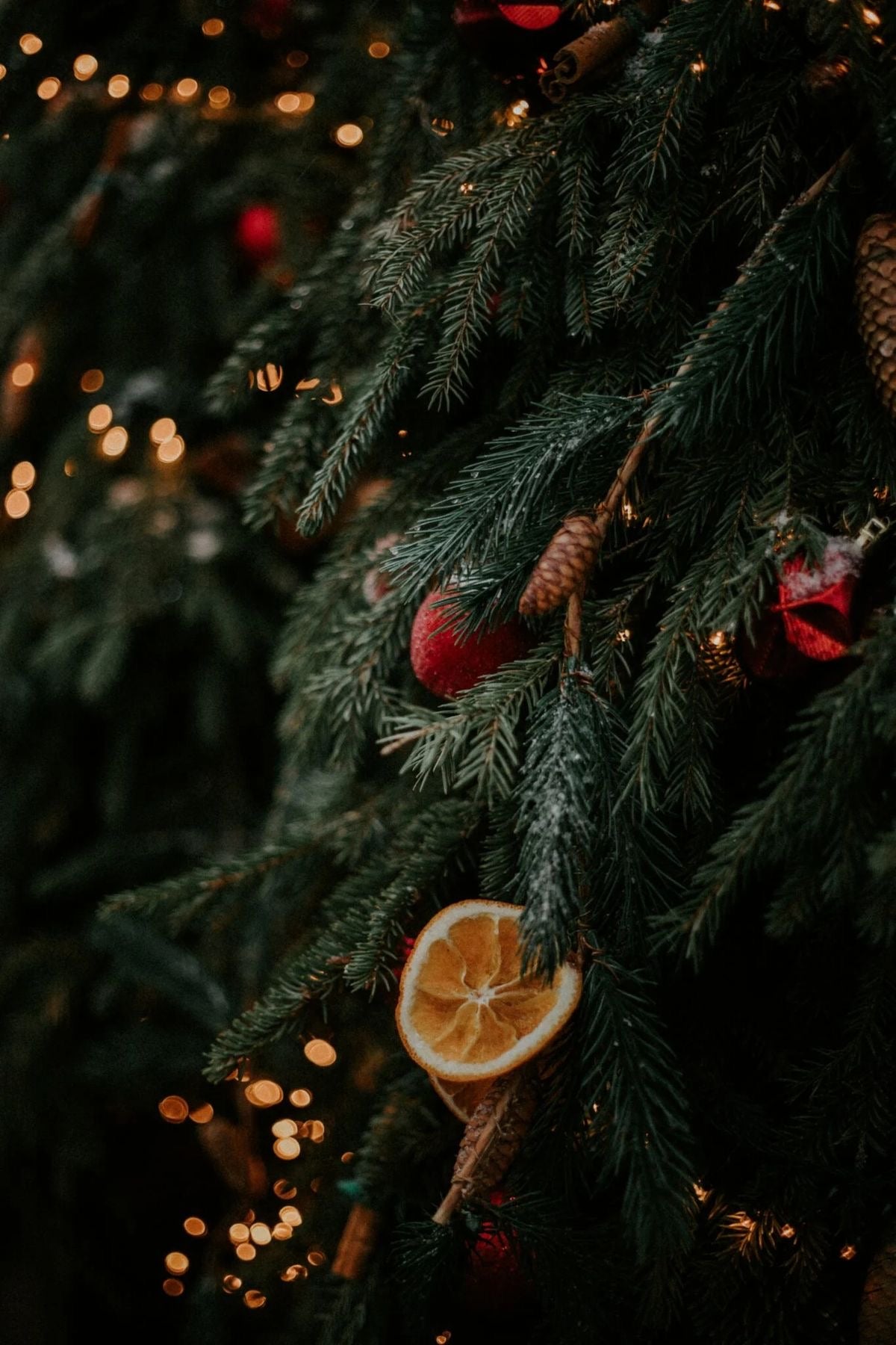 O'Christmas Tree Festive Reed Diffuser